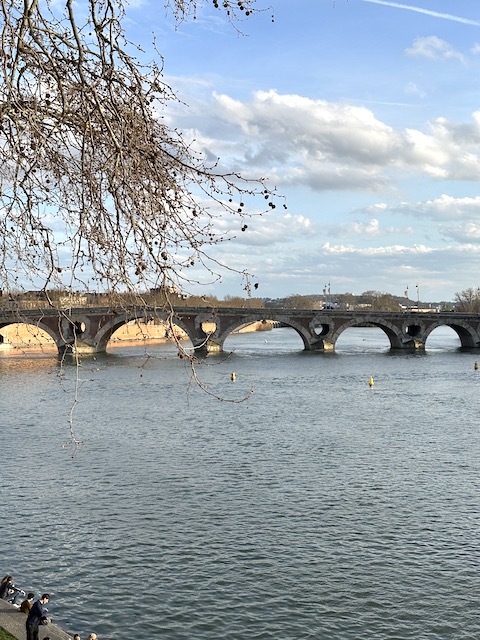 qué ver en Toulouse Francia