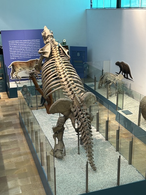 Esqueleto dinosaurio Valencia.