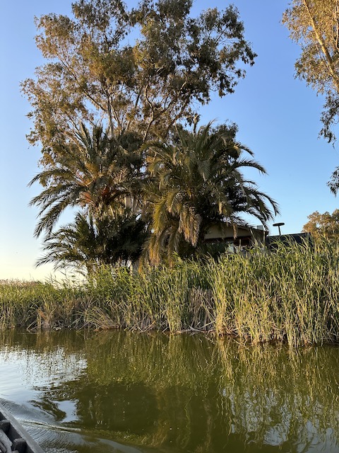 Paseo en barco Albufera Valencia
