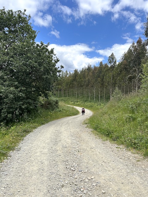 Etapa 4 camino inglés
