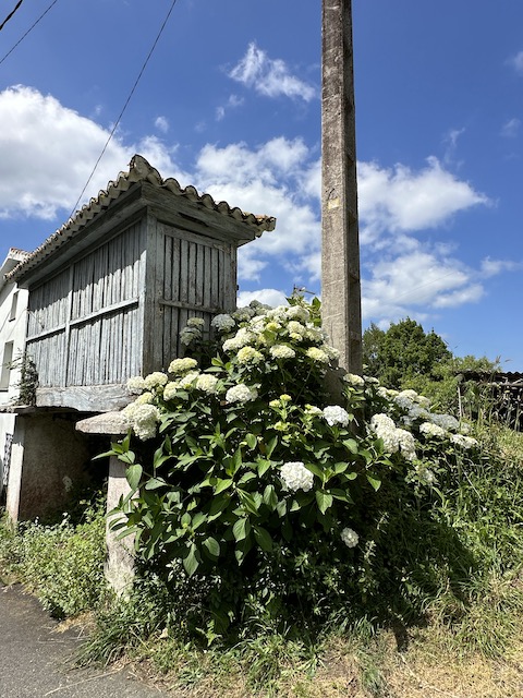 Etapa 2 camino inglés