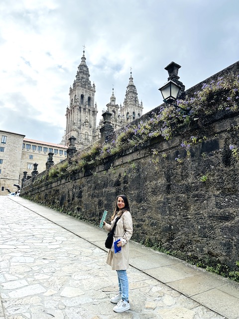 Nat willyfog compostela