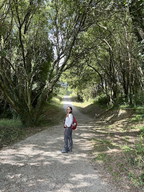 camino de Santiago inglés natwillyog