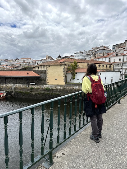 Betamzos natwillyfog etapa 3 Camino Inglés