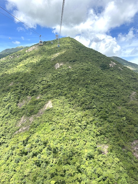 Teleférico Nong Ping 360 y Buda de Tian Tan