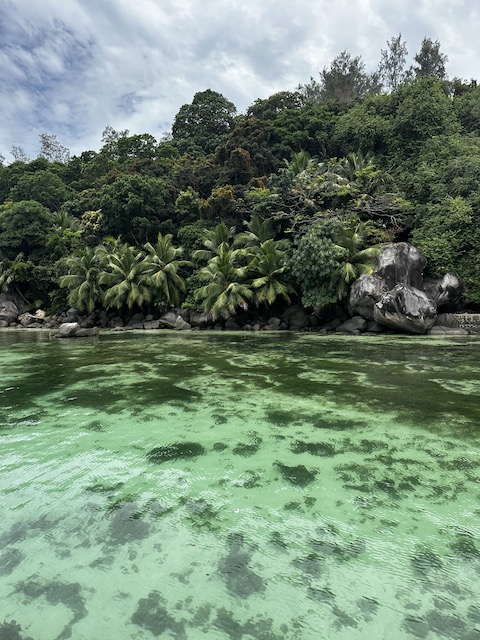 isla moyenne Seychelles