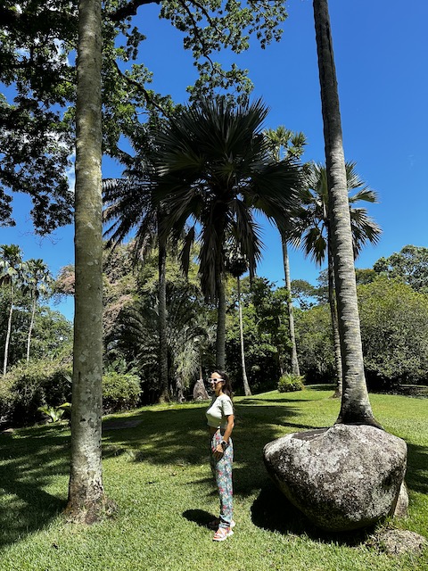 jardín botánico Victoria Seychelles
