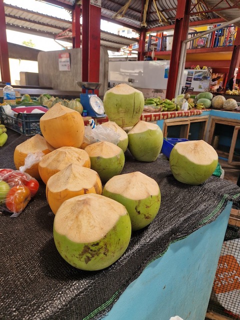 Cocos Seychelles