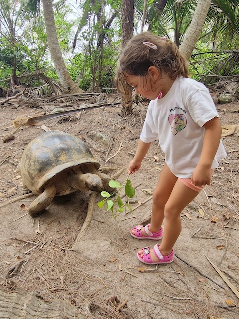 Seychelles con niños