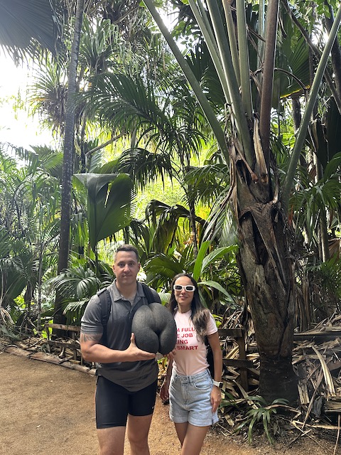 valle de mai Praslin Seychelles