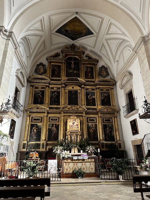 Colegiata Pastrana