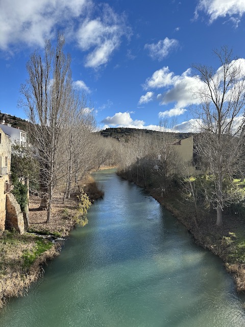 rio tajo trillo