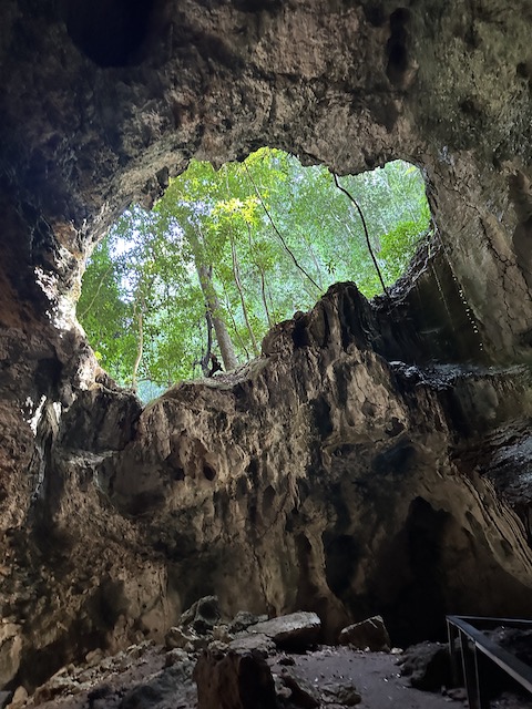 cueva dek ferrocarril los haitises 