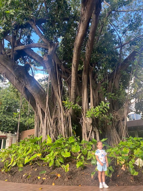 República Dominicana con niños