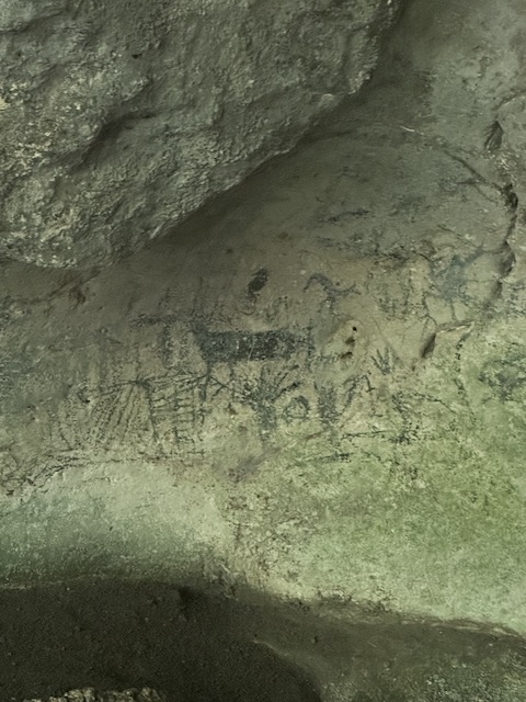pictografías los haitises 