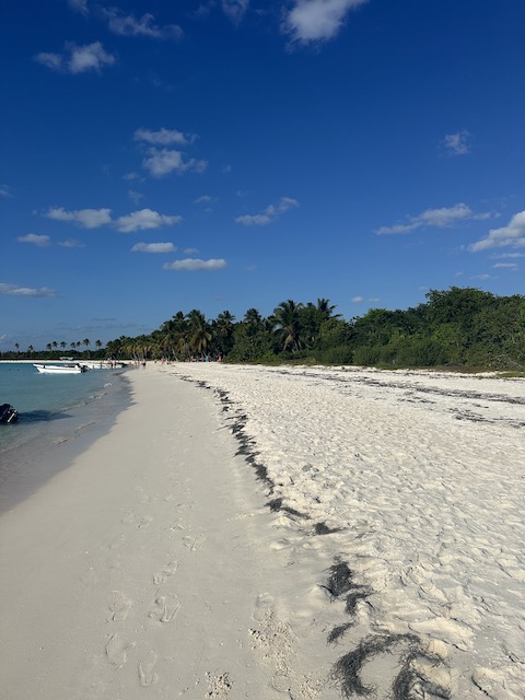 Playa flamenco Isla Saona