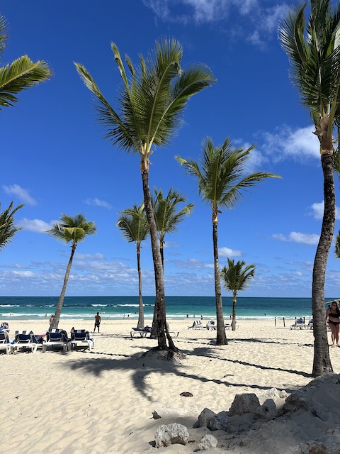 Playa hotel hard rock republic dominicana 
