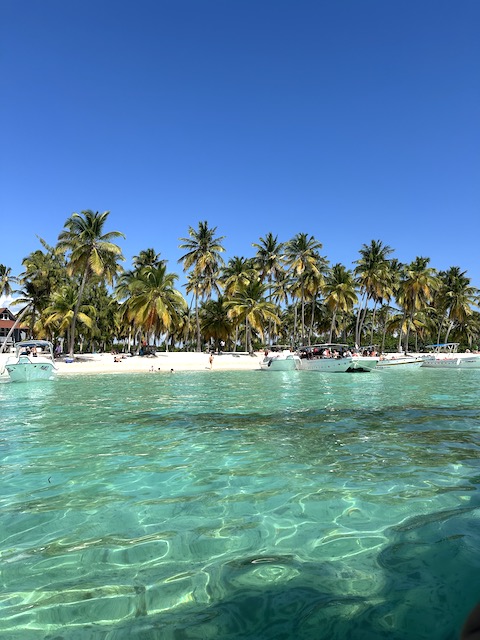 canto de la playa Isla Saona