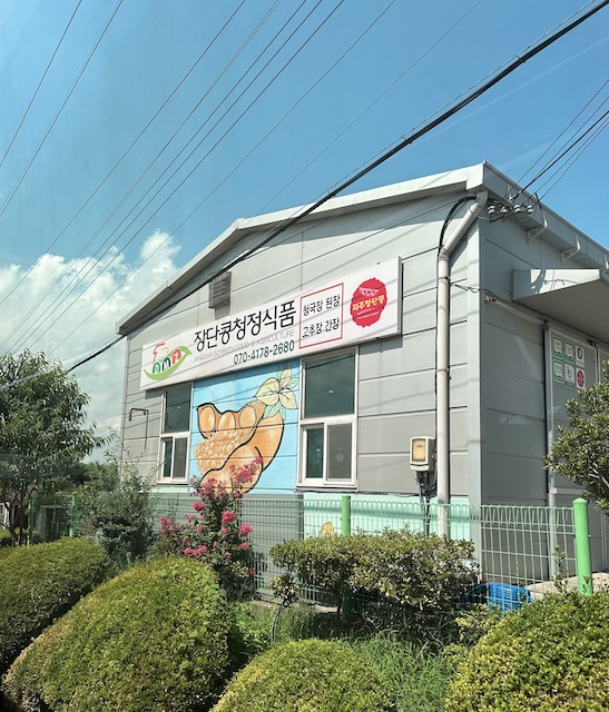 pueblo de la reunificación DMZ Corea del Sur