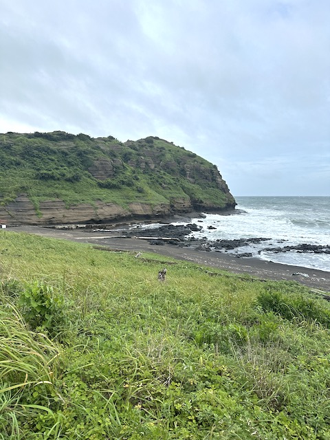 Costa Yongmeori Isla de Jeju.