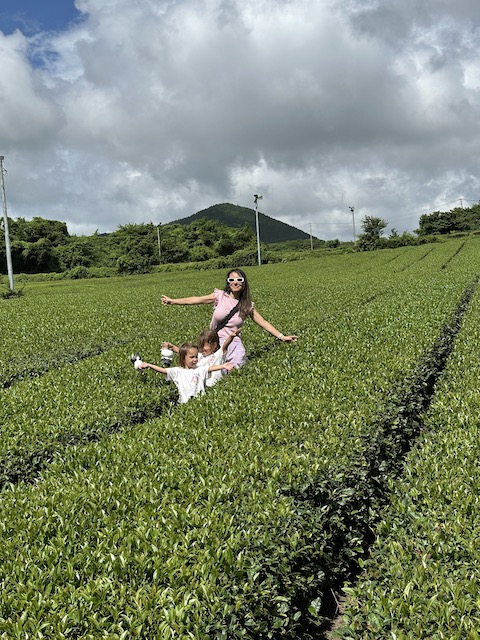 Oseolloc Tea Museum