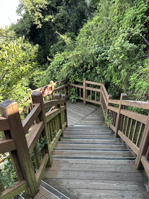 ruta isla de jeju con niños