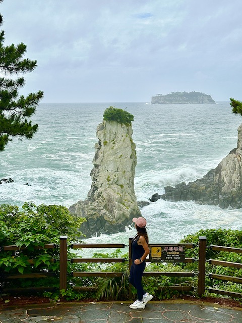oedalgae isla de jeju