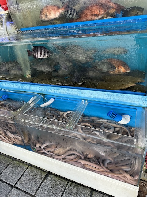 Jagalchi Market , Busan en 2 o 3 días