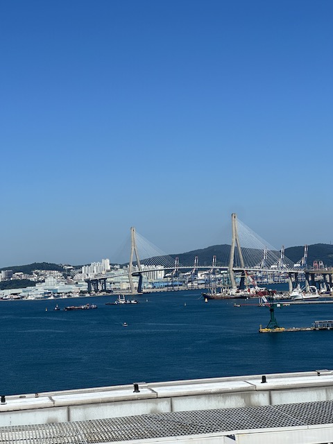 Paseo en barco busan