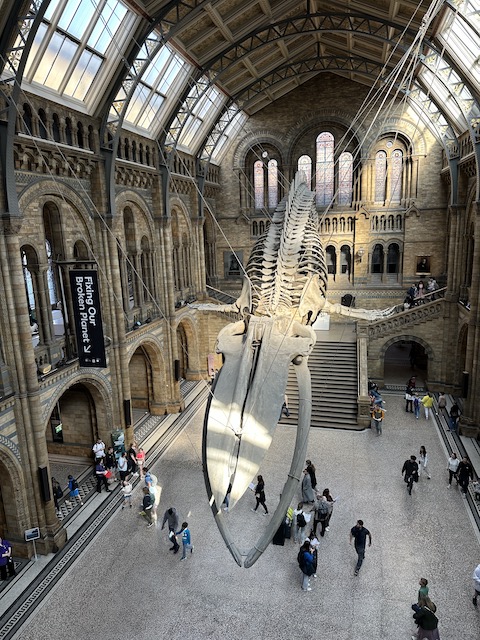 Museo Ciencias Naturales Londres