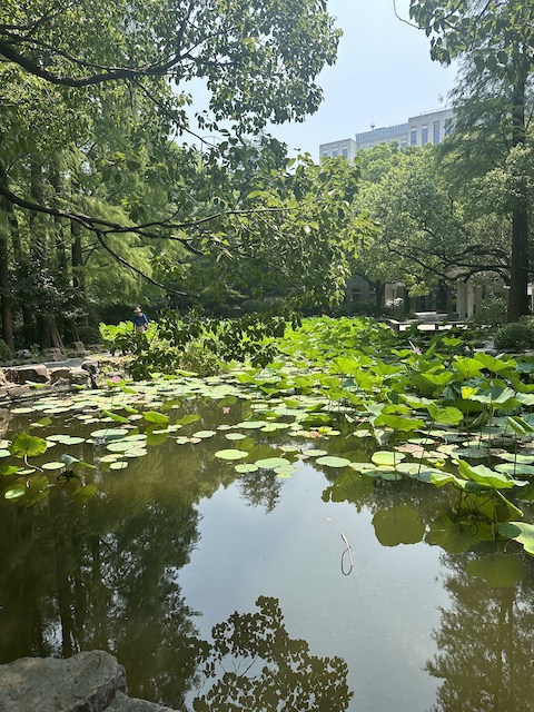 parque del pueblo shangai