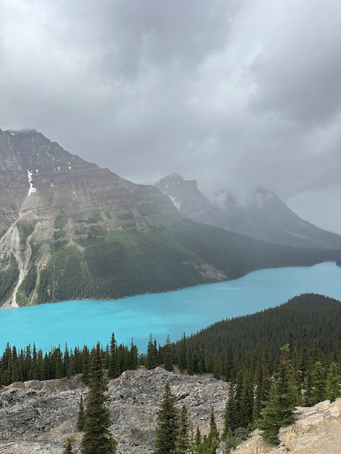 peyto lake