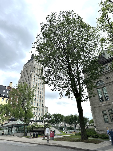 que hacer en quebec