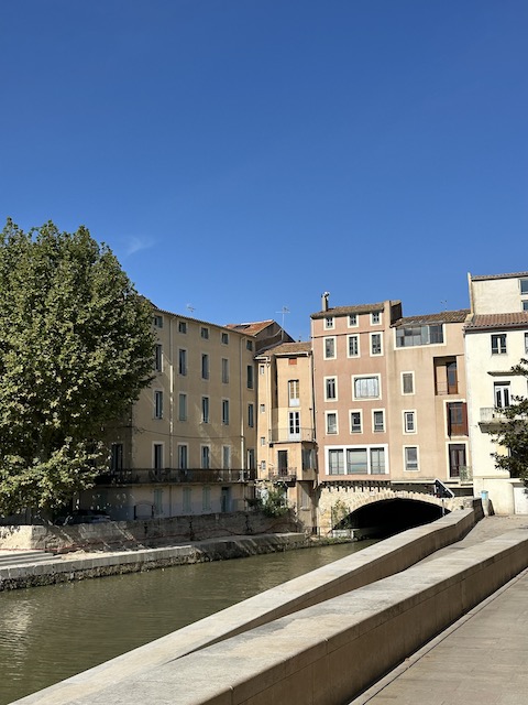 narbona 5