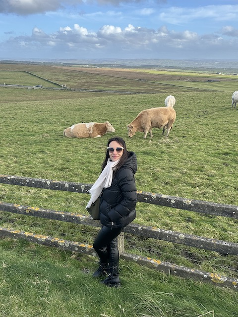 ACANTILADOS DE MOHER DESDE DUBLIN