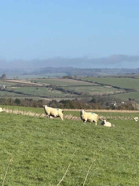 ruta por los cotswods en 3 días