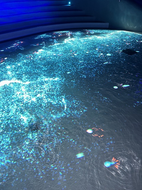aquascope parque acuático