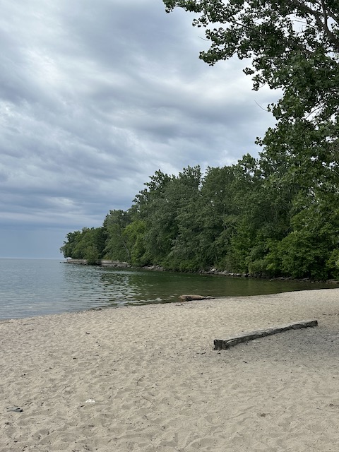 islas de toronto