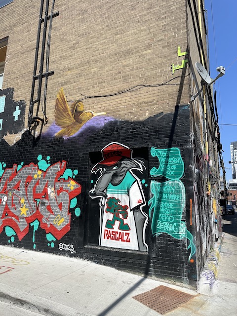 toronto grafitis
