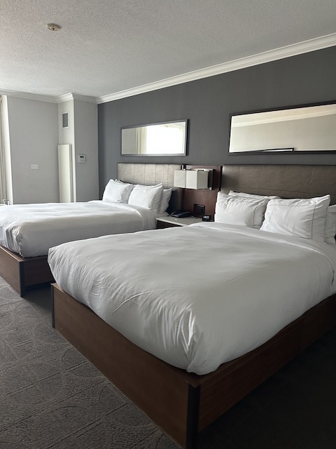 alojamiento en Toronto 
hilton airport