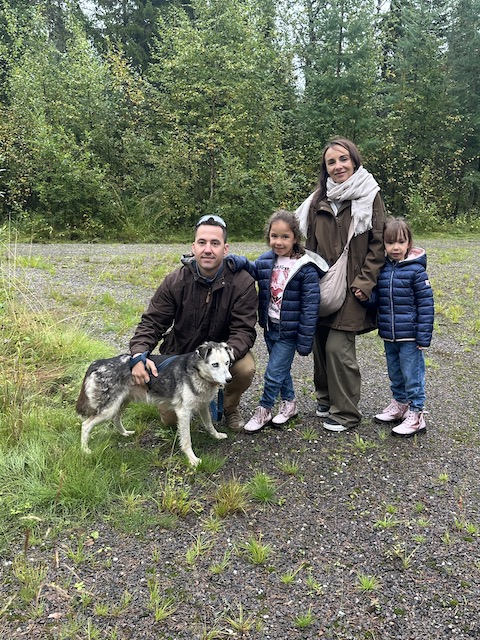 granja de huskies Laponia