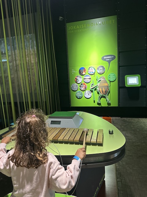 museo pilke rovanievi